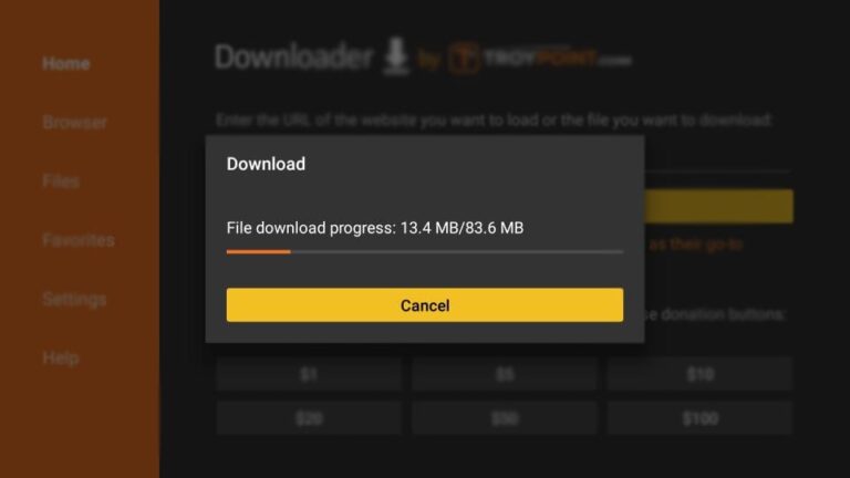 Downloader Firestick IPTV