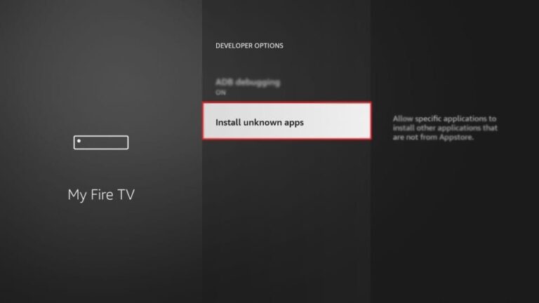 Firestick Developer options